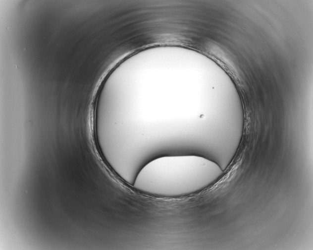 X0000093740804200710160749