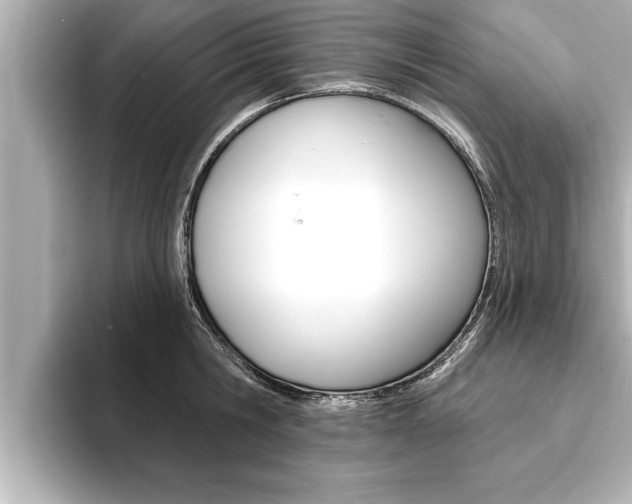 X0000093740806200710160749