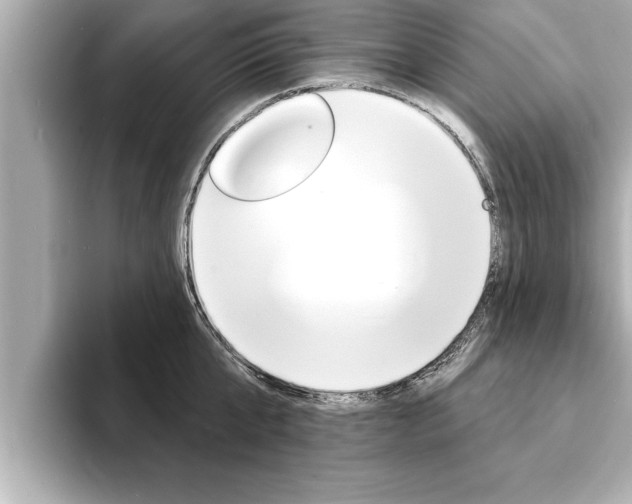 X0000093740807200710160749