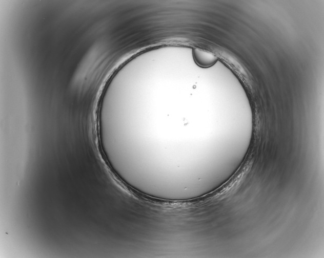 X0000093740808200710160749