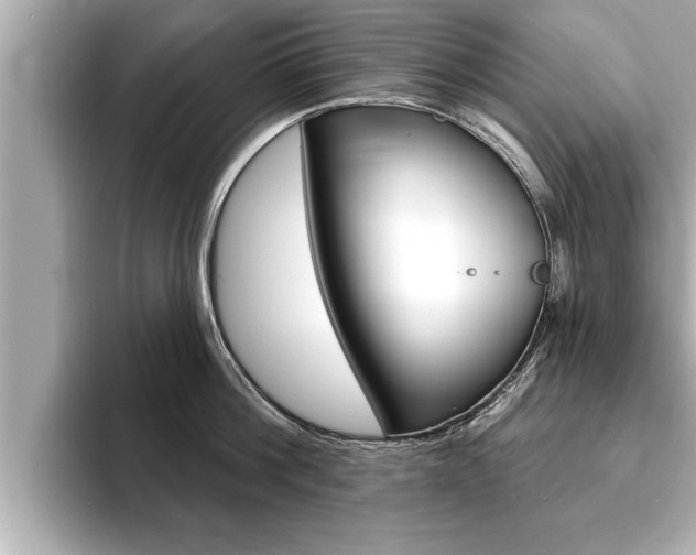X0000093740812200710160748