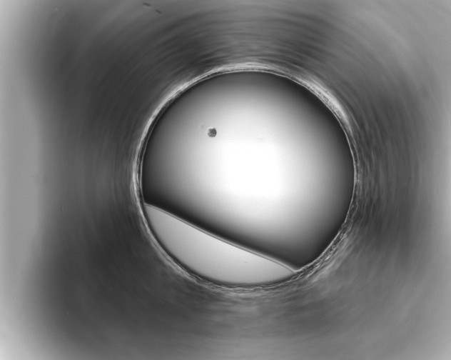X0000093740813200710160748