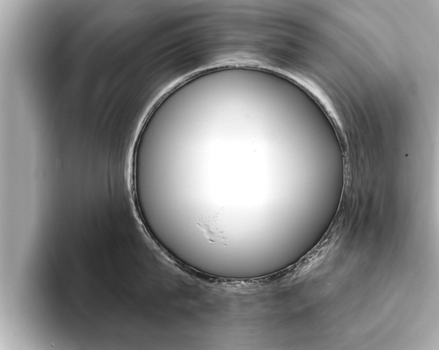 X0000093740815200710160748