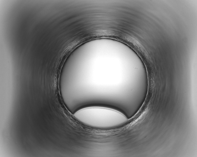 X0000093740833200710160748