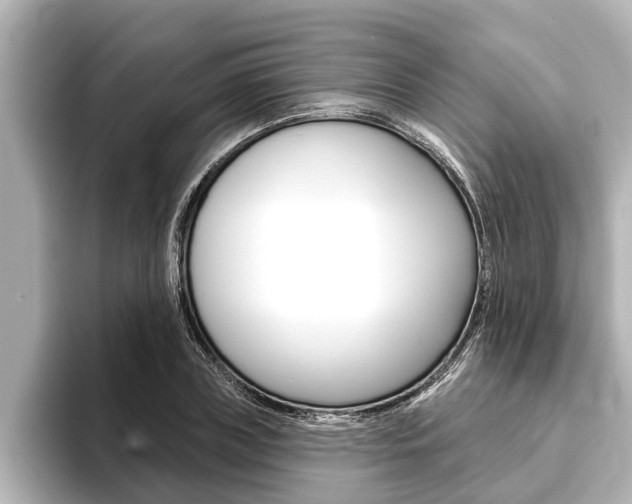 X0000093740835200710160748