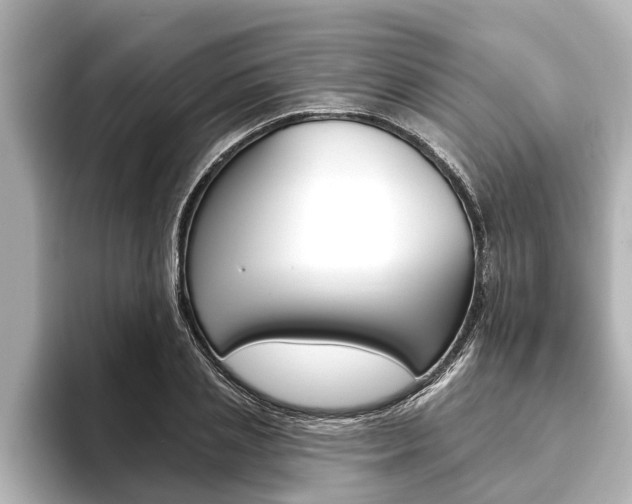X0000093740837200710160748