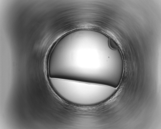 X0000093740843200710160748