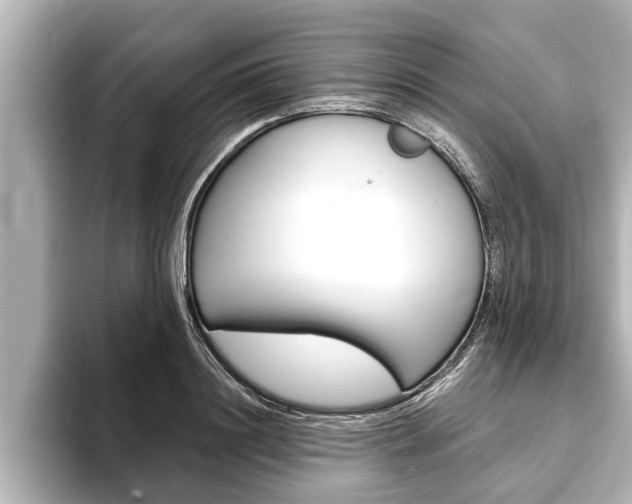X0000093740844200710160748