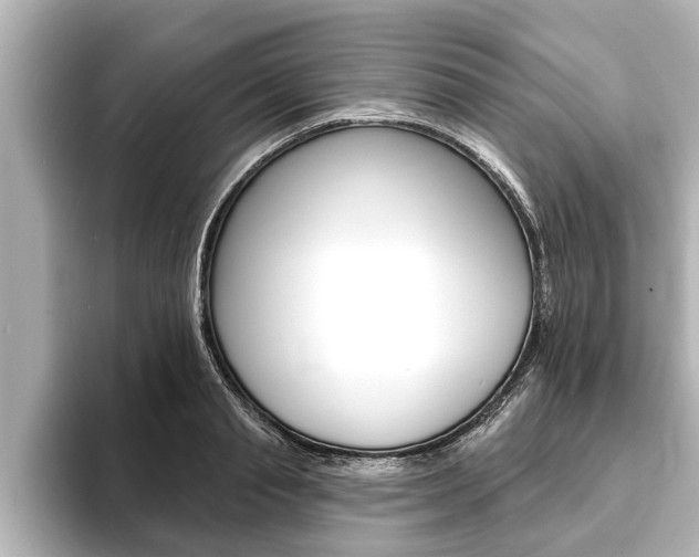 X0000093740845200710160748