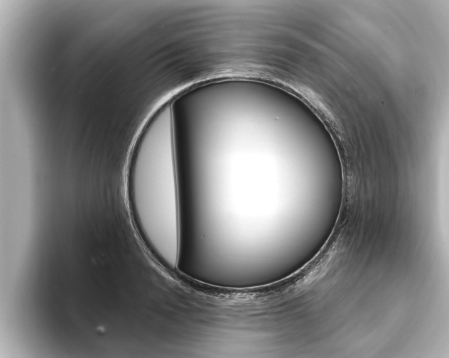 X0000093740846200710160748