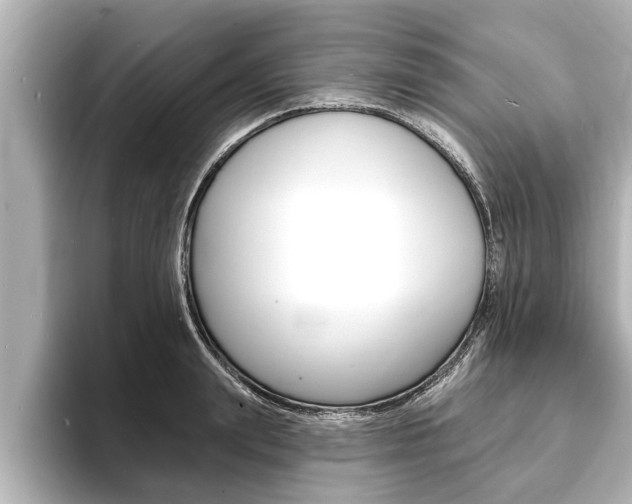X0000093740847200710160748
