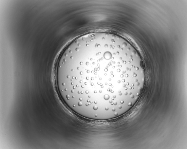 X0000093740851200710160748