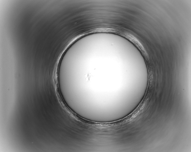 X0000093740852200710160748