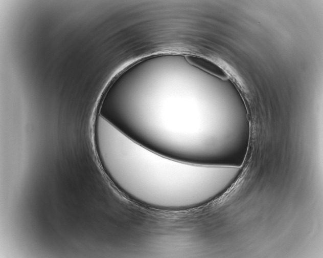 X0000093740854200710160748