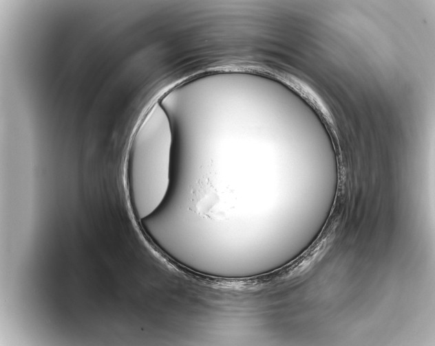 X0000093740855200710160748