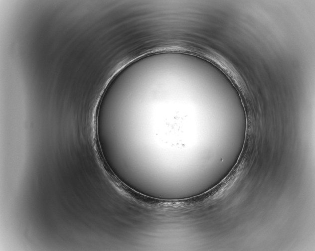 X0000093740858200710160748