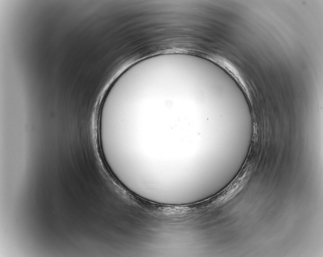 X0000093740859200710160748