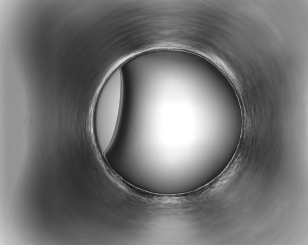 X0000093740862200710160748