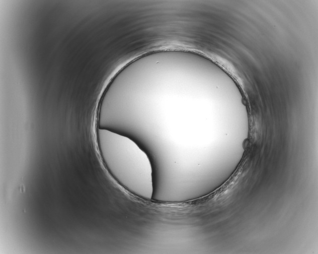 X0000093740863200710160748