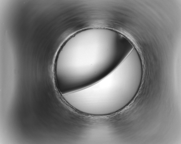 X0000093740864200710160748