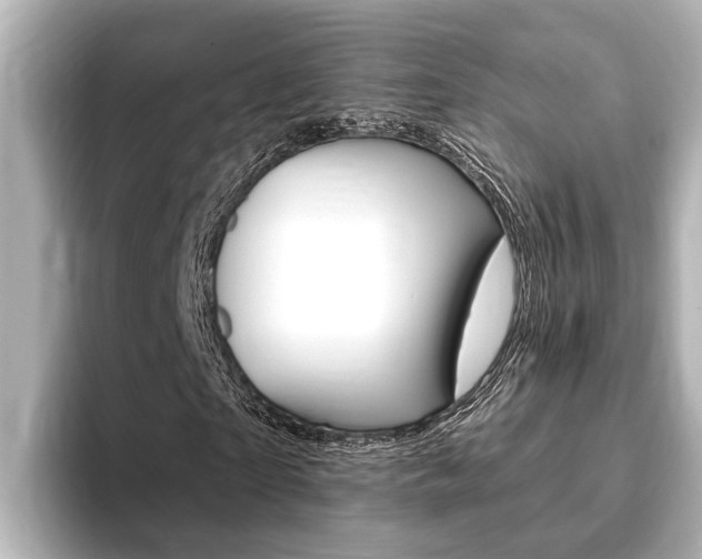 X0000093740865200710160748