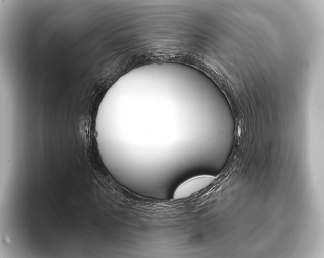 X0000093740867200710160748