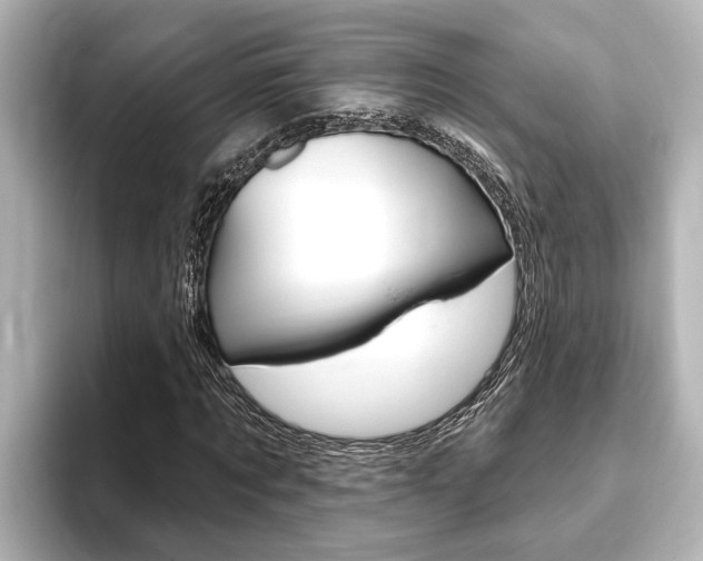 X0000093740869200710160748