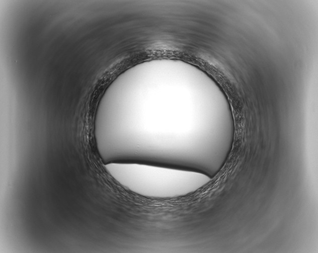 X0000093740870200710160748