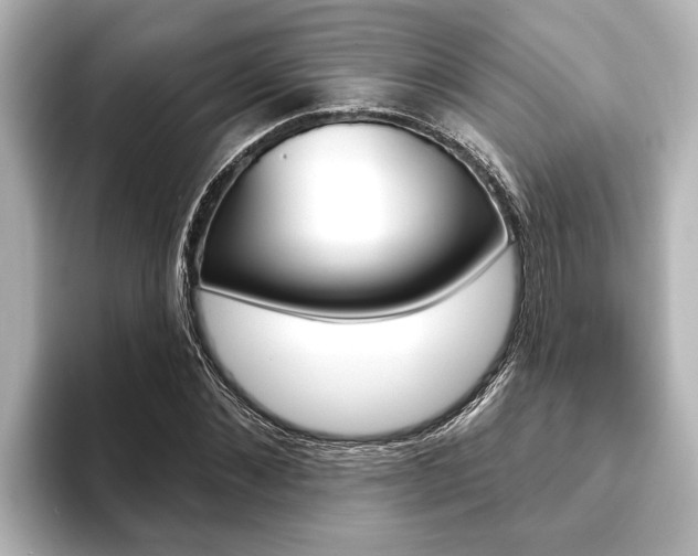 X0000093740876200710160748