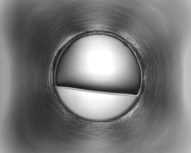 X0000093740877200710160748