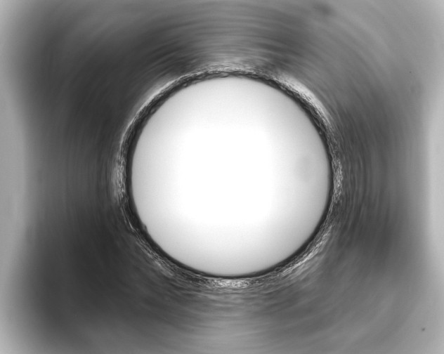 X0000093740878200710160748