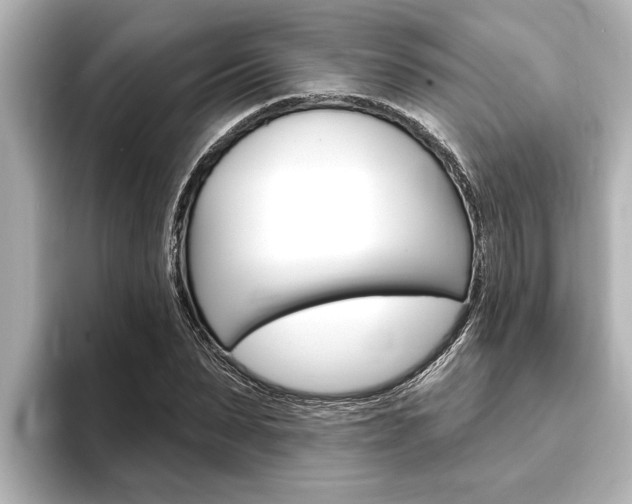 X0000093740879200710160748