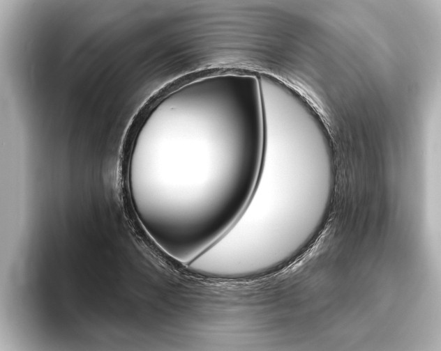 X0000093740880200710160748