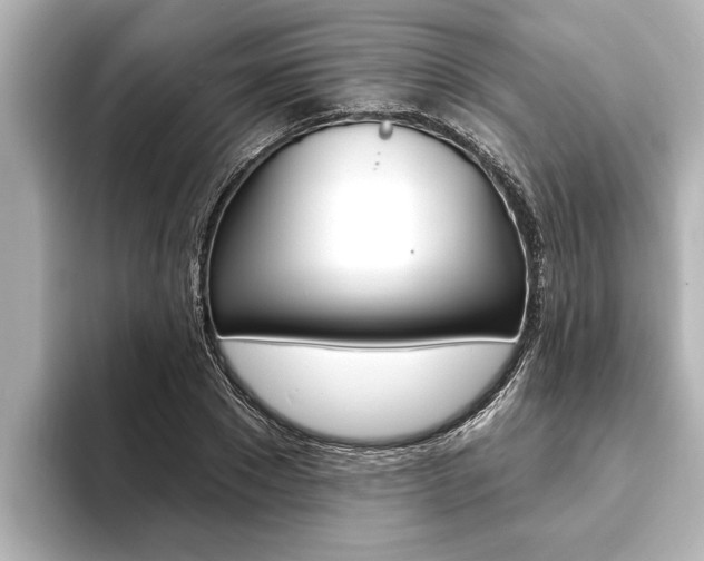 X0000093740881200710160748