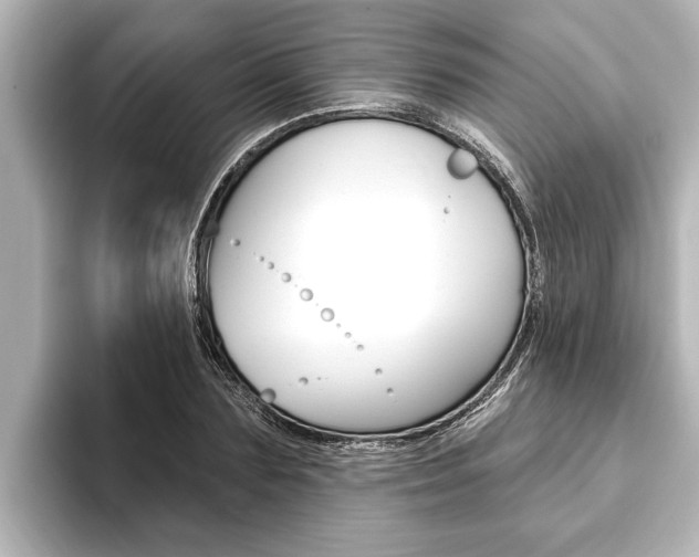 X0000093740883200710160748