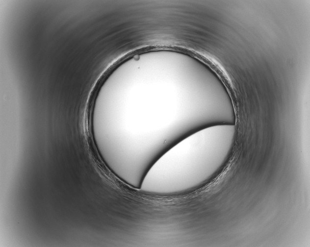X0000093740887200710160747