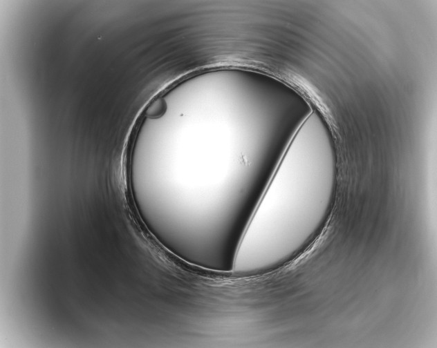 X0000093740892200710160747