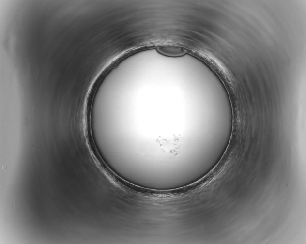 X0000093740894200710160747