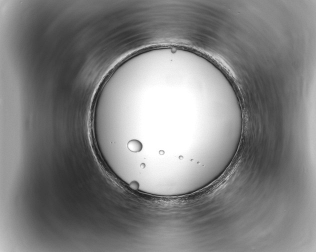 X0000093740895200710160747