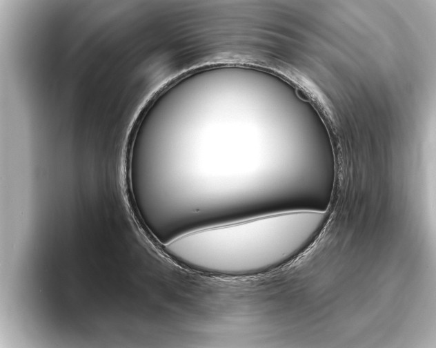 X0000093740896200710160747