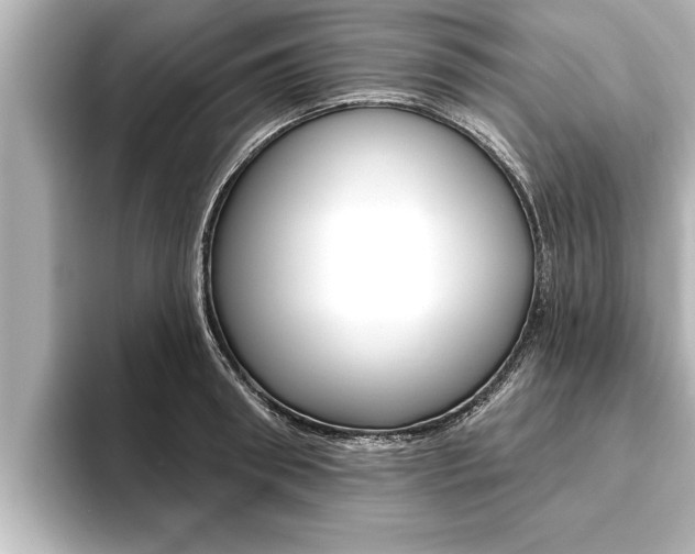 X0000093740898200710160747
