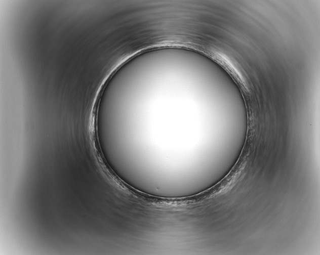 X0000093740900200710160747