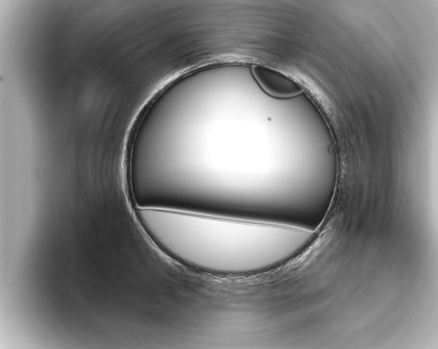 X0000093740902200710160747