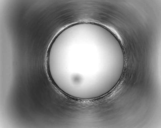 X0000093740903200710160747