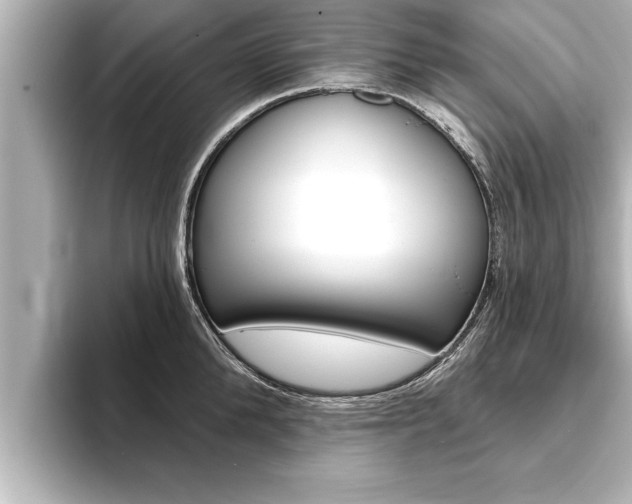 X0000093740904200710160747