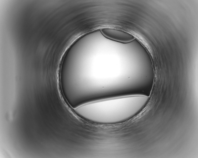 X0000093740906200710160747