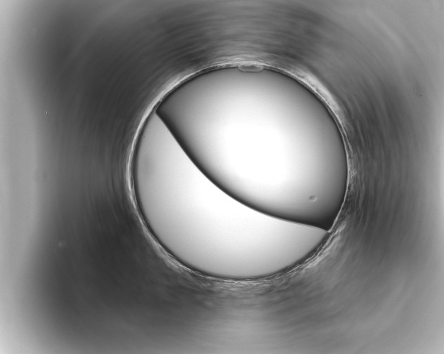 X0000093740909200710160747