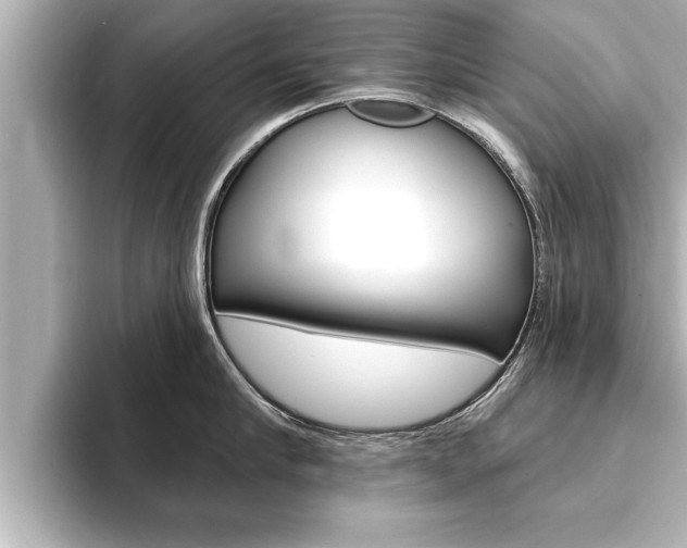 X0000093740910200710160747