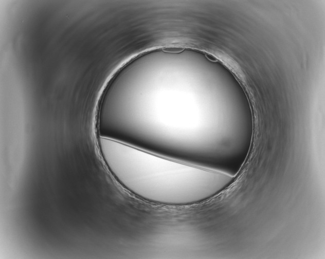 X0000093740912200710160747