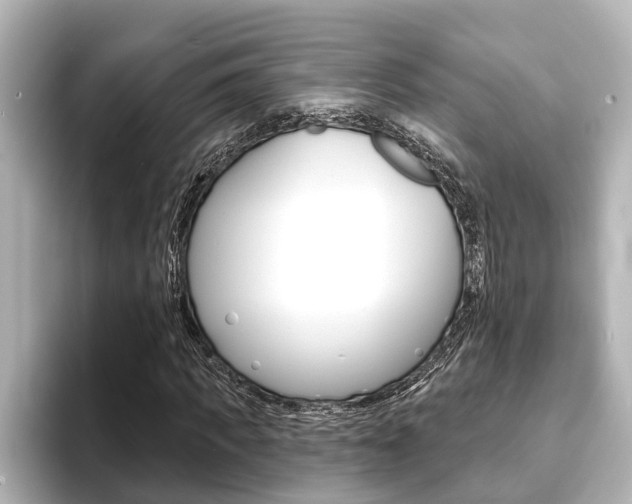 X0000093740917200710160747